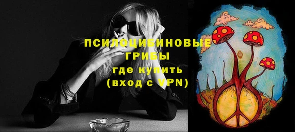 дживик Бронницы
