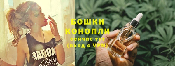 дживик Бронницы