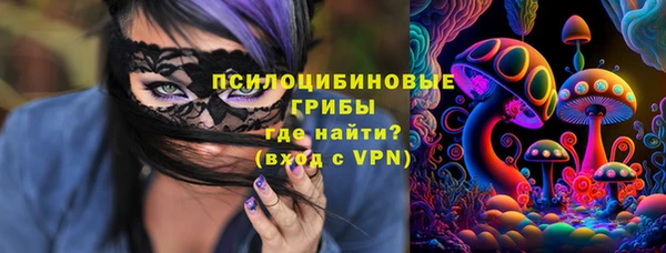 твердый Бугульма