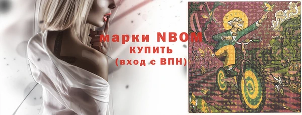 дживик Бронницы