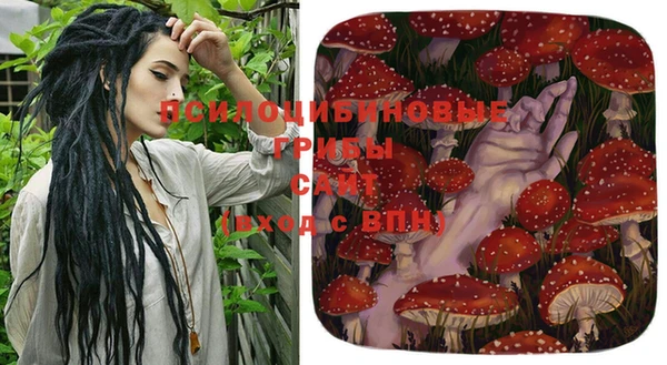 а пвп мука Бородино