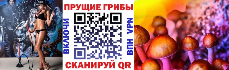 kraken tor  Великий Новгород  Галлюциногенные грибы MAGIC MUSHROOMS 
