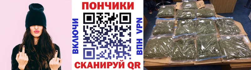 Шишки марихуана SATIVA & INDICA  Великий Новгород 